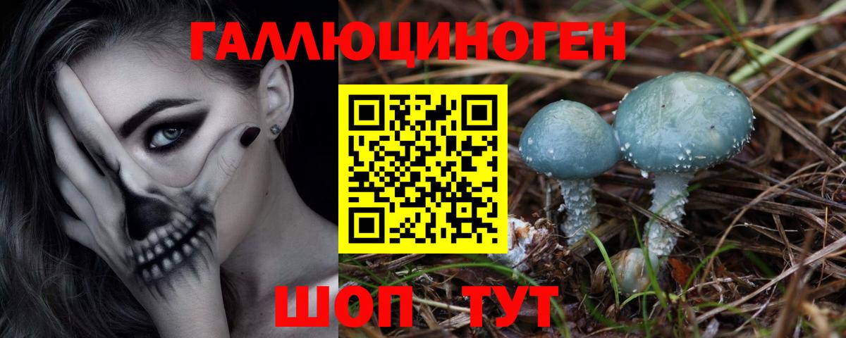 Галлюциногенные грибы GOLDEN TEACHER  хочу   Батайск  Вход с VPN 
